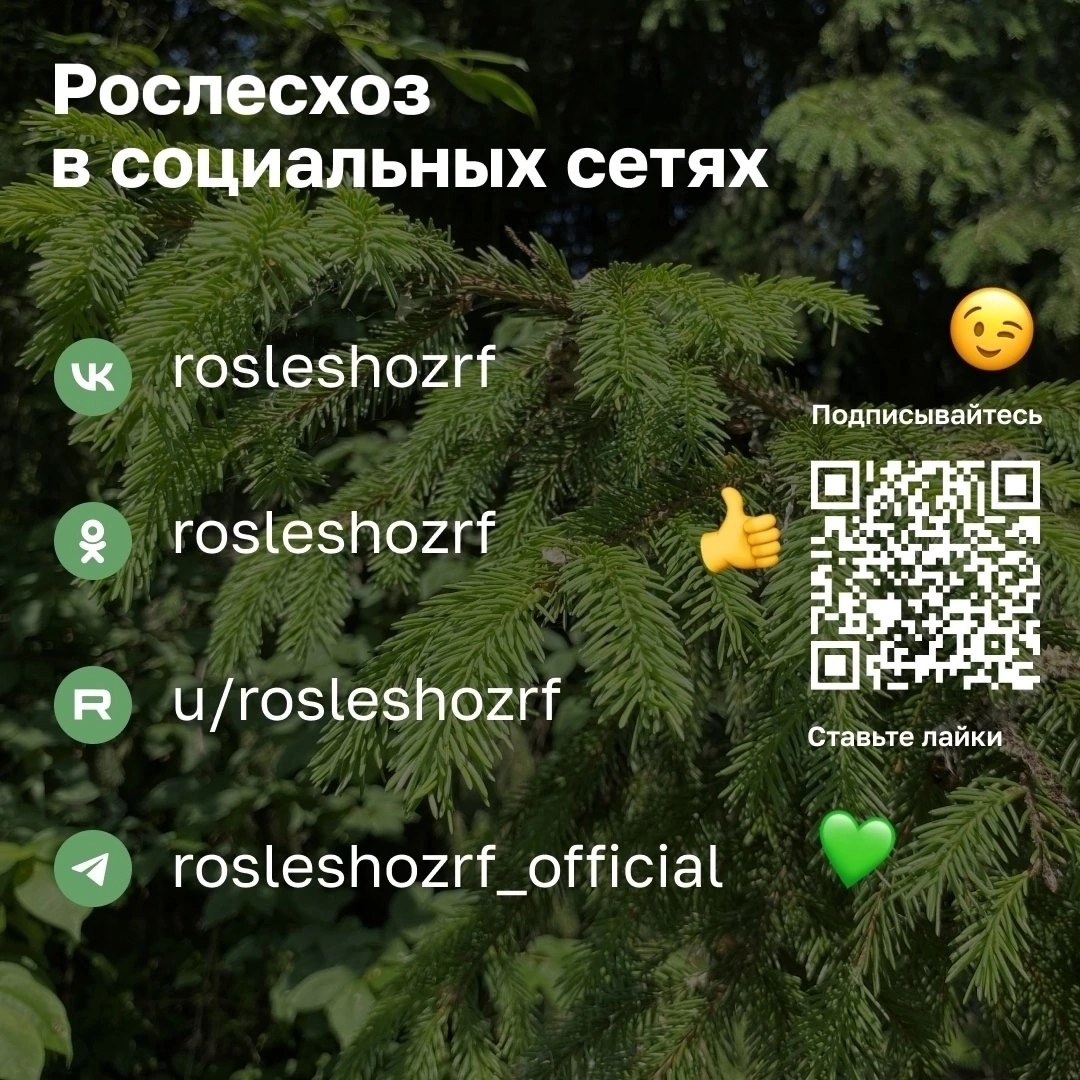 V_Br6Rw8HSY.jpg